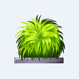 png格式植物花卉手绘素材