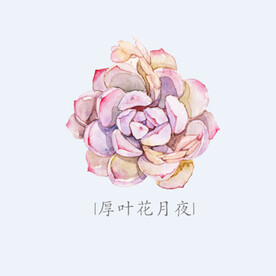 png格式植物花卉手绘素材