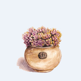 png格式植物花卉手绘素材