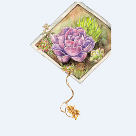 png格式植物花卉手绘素材