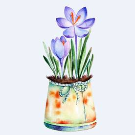 png格式植物花卉手绘素材