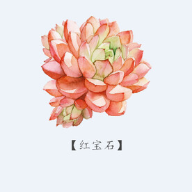 png格式植物花卉手绘素材