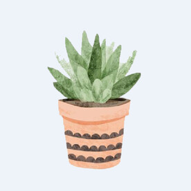 png格式植物花卉手绘素材