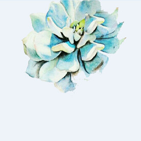 png格式植物花卉手绘素材