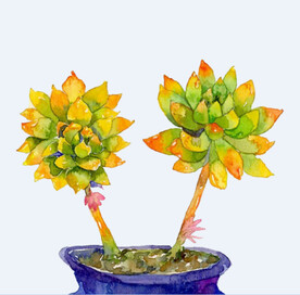 png格式植物花卉手绘素材