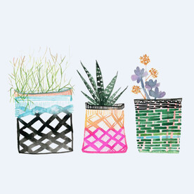 png格式植物花卉手绘素材