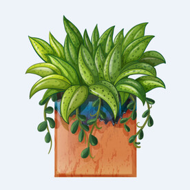 png格式植物花卉手绘素材