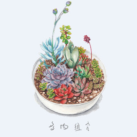 png格式植物花卉手绘素材