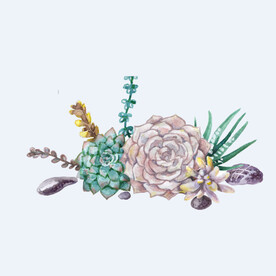 png格式植物花卉手绘素材