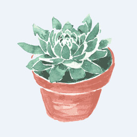 png格式植物花卉手绘素材