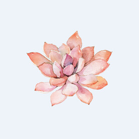 png格式植物花卉手绘素材