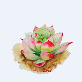 png格式植物花卉手绘素材