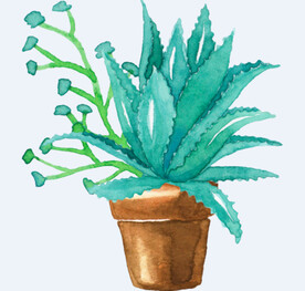 png格式植物花卉手绘素材