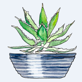 png格式植物花卉手绘素材