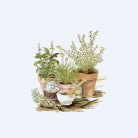 png格式植物花卉手绘素材