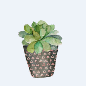 png格式植物花卉手绘素材