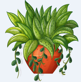 png格式植物花卉手绘素材