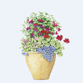 png格式植物花卉手绘素材