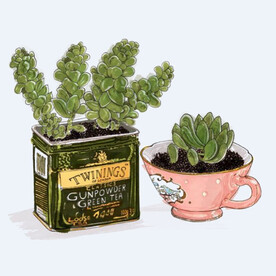 png格式植物花卉手绘素材