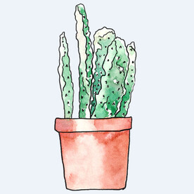 png格式植物花卉手绘素材