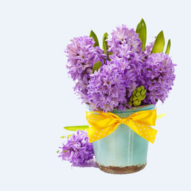 png格式植物花卉手绘素材