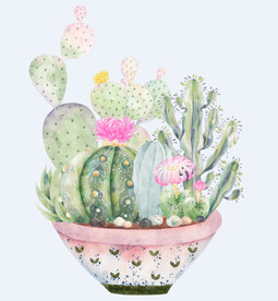 png格式植物花卉手绘素材