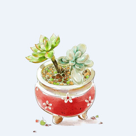 png格式植物花卉手绘素材