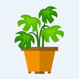 png格式植物花卉手绘素材