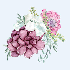 png格式植物花卉手绘素材