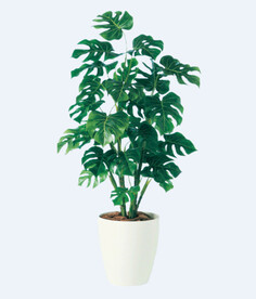 png格式植物花卉手绘素材