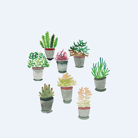 png格式植物花卉手绘素材