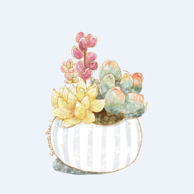 png格式植物花卉手绘素材