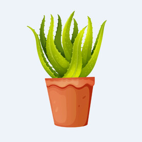 png格式植物花卉手绘素材