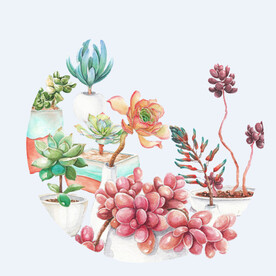 png格式植物花卉手绘素材