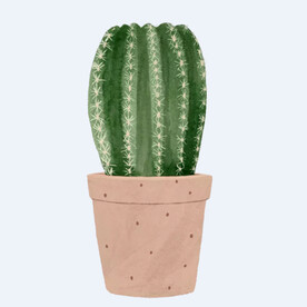 png格式植物花卉手绘素材