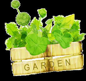 png格式植物花卉手绘素材