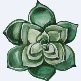 png格式植物花卉手绘素材