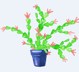 png格式植物花卉手绘素材