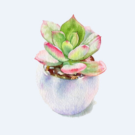 png格式植物花卉手绘素材