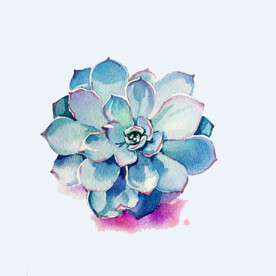 png格式植物花卉手绘素材