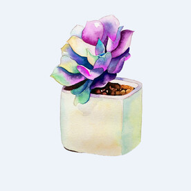 png格式植物花卉手绘素材