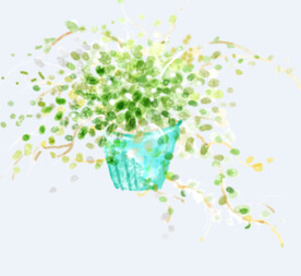 png格式植物花卉手绘素材