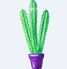 png格式植物花卉手绘素材