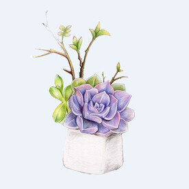 png格式植物花卉手绘素材