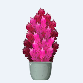 png格式植物花卉手绘素材