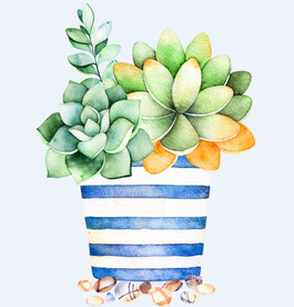 png格式植物花卉手绘素材