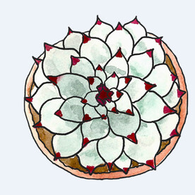 png格式植物花卉手绘素材