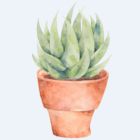 png格式植物花卉手绘素材