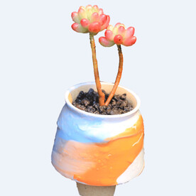 png格式植物花卉手绘素材