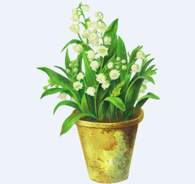 png格式植物花卉手绘素材